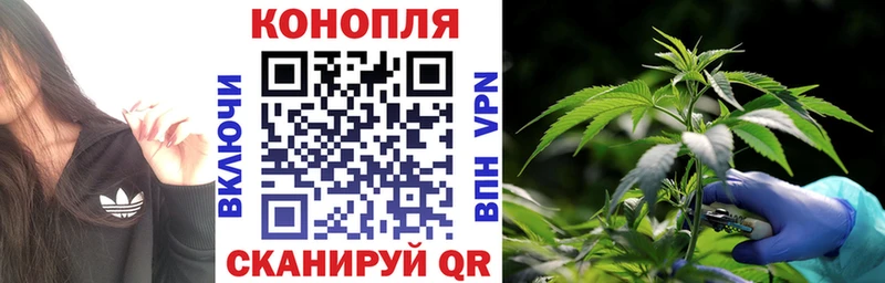 Наркошоп купить Галлюциногенные грибы  Каннабис  Alpha PVP  Меф мяу мяу  КОКАИН  Гашиш  АМФ  Енисейск